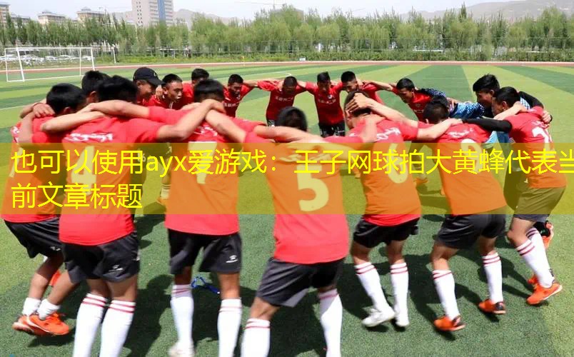 ayx爱游戏：王子网球拍大黄蜂