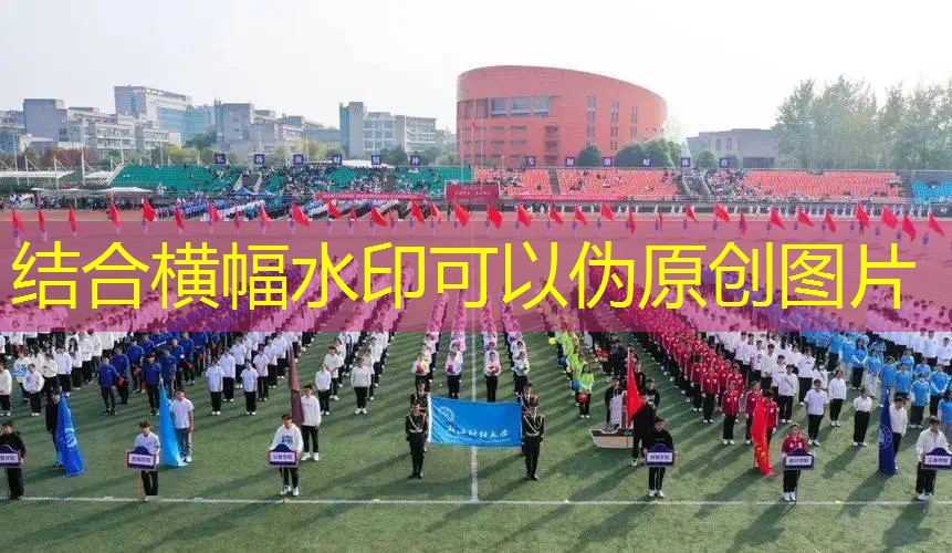 ayx·爱游戏：复古运动网球拍怎么样的