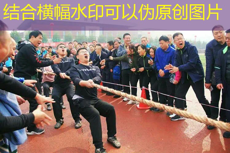 体育器材室有排球和篮球