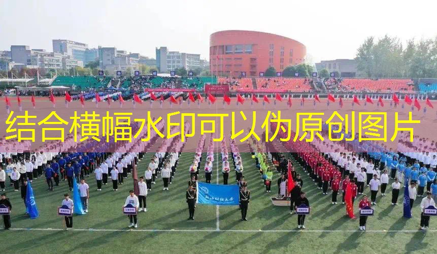 爱游戏ayx集团：单杠颈椎牵引单杠：颈椎保健新方式闪亮登场！