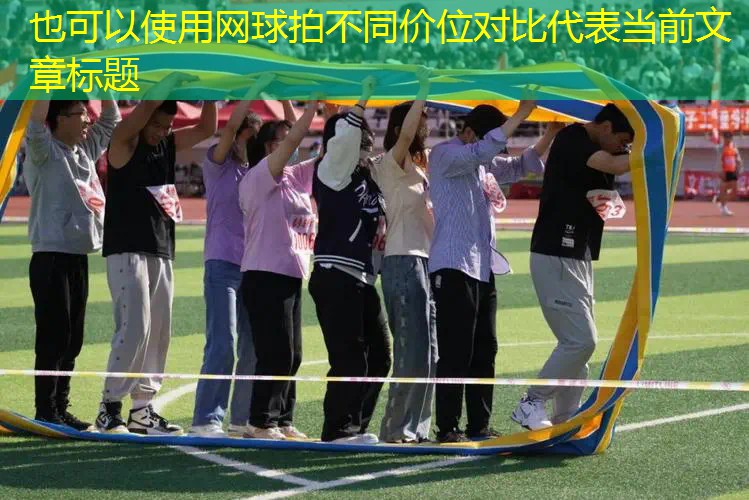网球拍不同价位对比