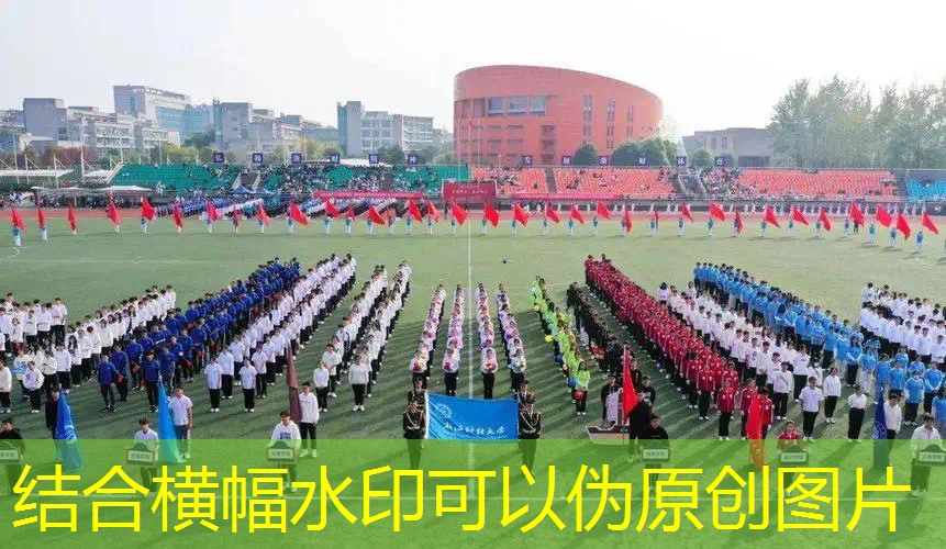 网球拍全碳素和碳复合 网球拍全碳素和碳复合