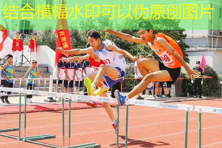 快速有效:落地单杠和免钉单杠教你40分钟完成全身训练 快速有效:落地单杠和免钉单杠教你40分钟完成全身训练