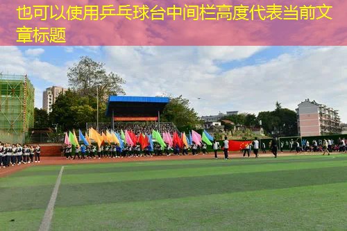乒乓球台中间栏高度