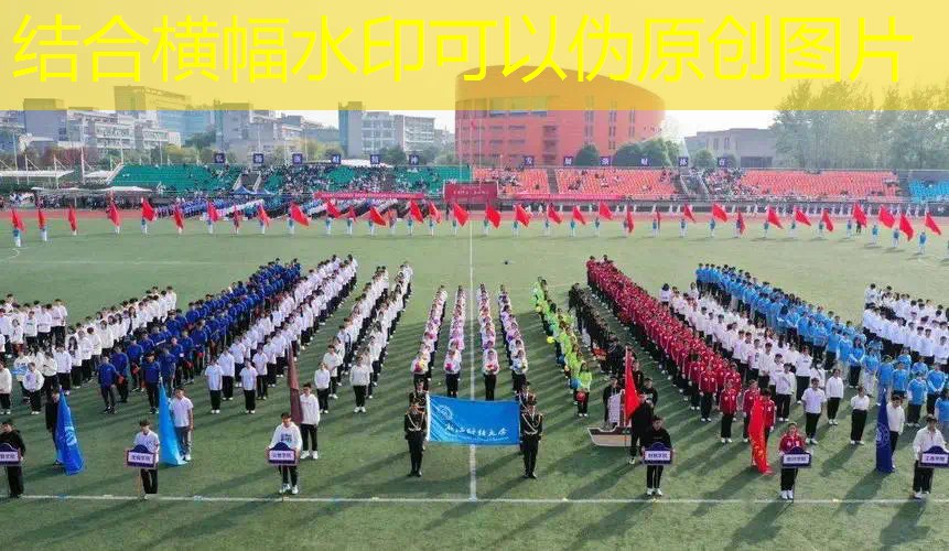篮球场器材篮球架 篮球场器材篮球架