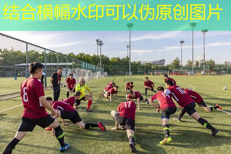 垒球世界杯：各国球队的巅峰对决与竞争激烈